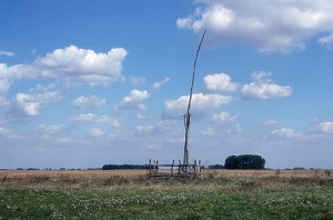 Displaying IMG_5619.JPG